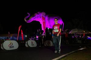 BIB: 
                            <button type="button" onclick="openModal(26544046)" class="btn btn-primary btn-sm float-right btn-popup" data-toggle="modal" data-target=".modal-high-quality">
                        <i class="fas fa-shopping-cart"></i> Add to Cart
                    </button>
                                            <button type="button" onclick="isThisMe(26544046, true)" class="btn btn-success btn-sm float-right btn-popup btn-isme hidden" data-toggle="tooltip" data-placement="bottom" title="นี่คือรูปของคุณใช่ไหม คลิกที่นี่เพื่อเอาเข้าอัลบั้ม">
                        <i class="fas fa-plus"></i> Add to album
                    </button>
                    <button type="button" onclick="isThisMe(26544046, false)" class="btn btn-warning btn-sm float-right btn-popup btn-isnotme hidden">
                        <i class="fas fa-ban"></i> Remove from album
                    </button>